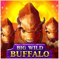 game logo by Belatra Games on lolajackcasinoo.co.nl